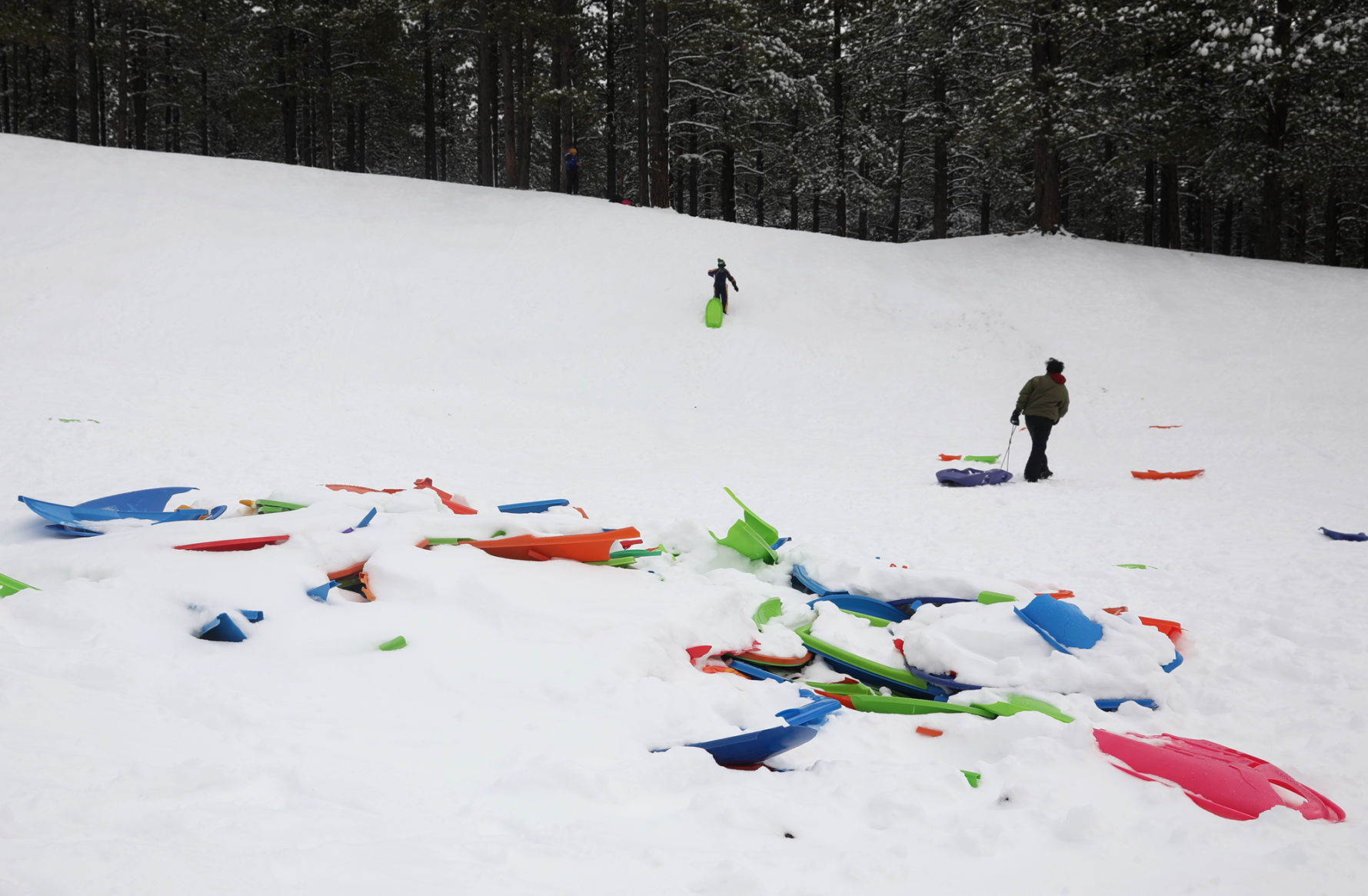 Sled Shards